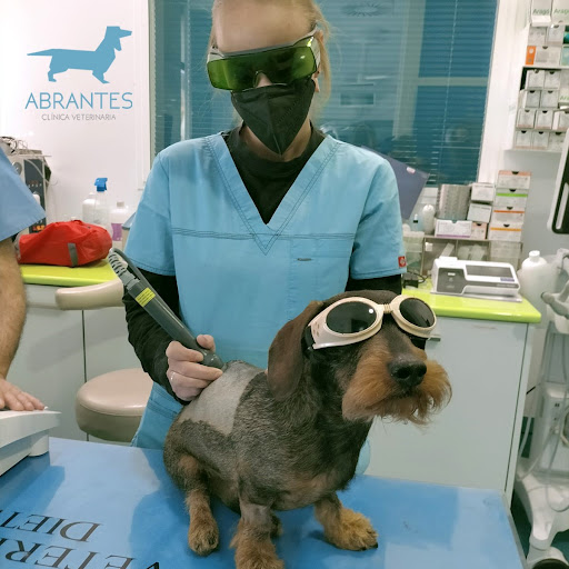 Centro Veterinario Abrantes