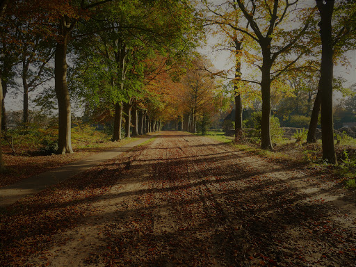 Landgoed Vilsteren - Thumbnail