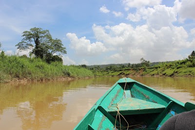 Photos of Wisata Alam Prevab TNKutai
