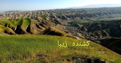 کشنده بالا