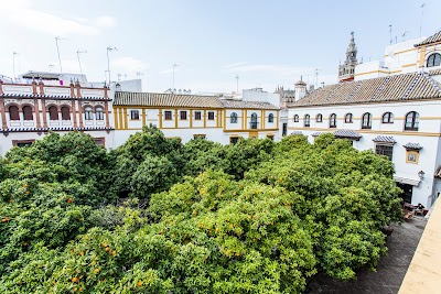 Photos of Hotel Boutique Elvira Plaza Sevilla