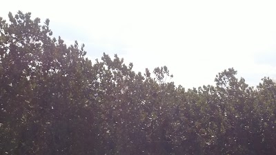 Photos of Champagne Ridge