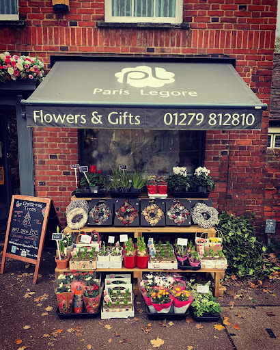 Paris Legore Flowers & Gifts