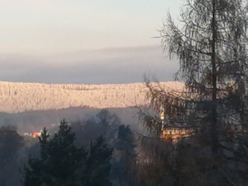 Grünspecht - Visual