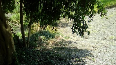 lodging