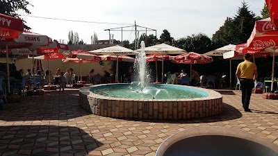 Photos of Bar Shahu