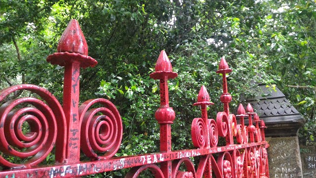 Strawberry Field