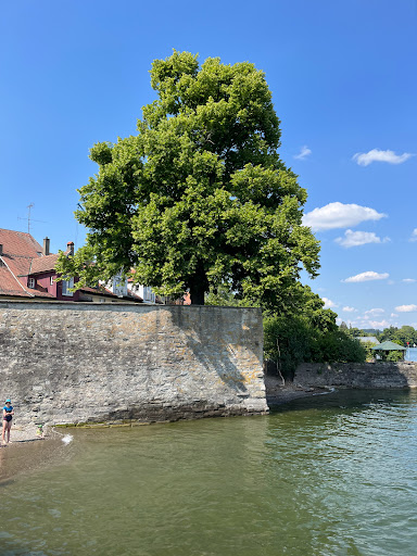 Gerberschanze - Thumbnail