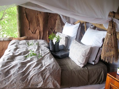Photos of Mapula Lodge