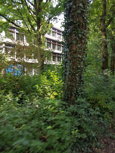 Photos of Wilhelmina Hospital