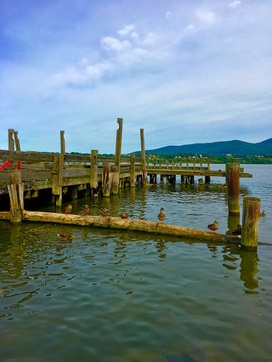 (119) Newburgh Waterfront - Thumbnail