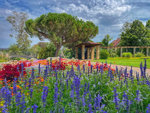 Kurpark Bad Dürkheim - Thumbnail