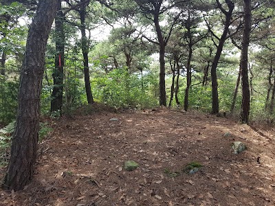 Photos of 백룡산