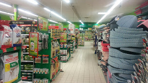 Photo n°27 de Maxi Zoo Strasbourg à Strasbourg (Animalerie)