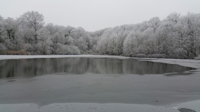 L'îlot végétalisé de l'étang du Trou aux Gants : un refuge pour la faune  locale - Ville de Vélizy-Villacoublay