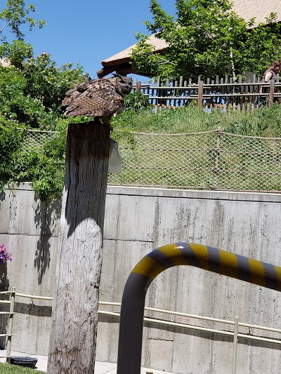 World of Flight Bird Show