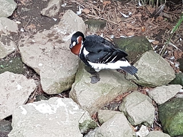 Zoo Lourosa