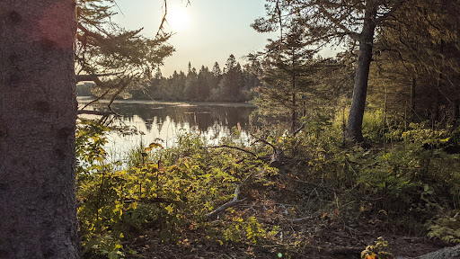Feldtmann Lake Campground - Thumbnail