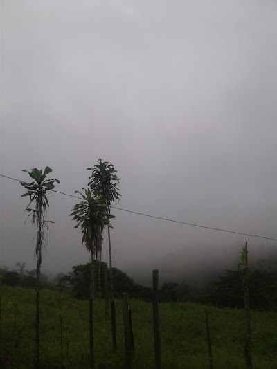 Photos of Super El Bajo