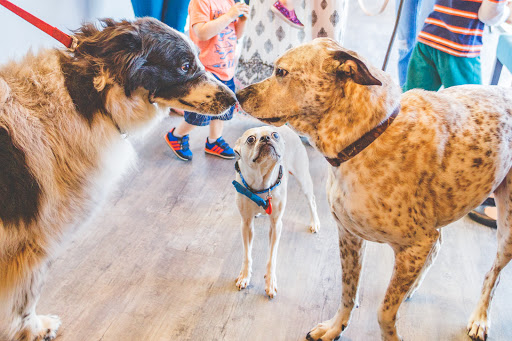 Crestview Veterinary Clinic
