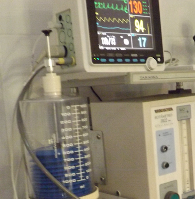 Photos of Cl&iacute;nica Veterin&aacute;ria Tododoy