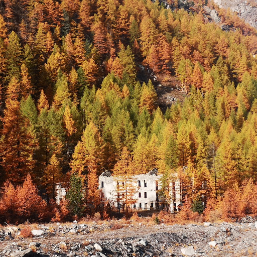 Punto Informazioni e pagamento pedaggio Parco Val Troncea Gallery - Italy