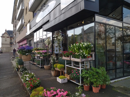 Fleurs du Cygne de Croix