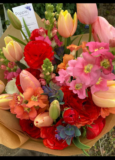 Poppie ferme florale - Thumbnail