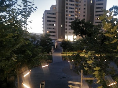 Photos of Commonwealth Park