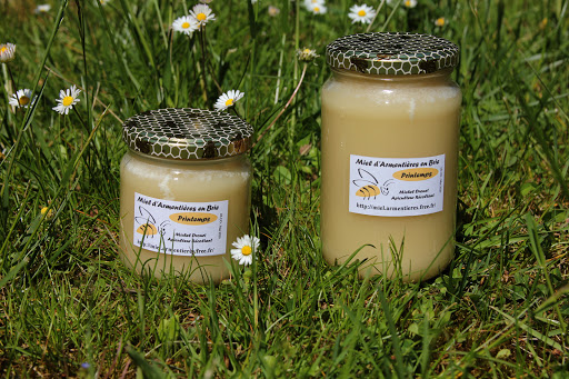 Miel d'Armentières en Brie, Apiculteur - Thumbnail