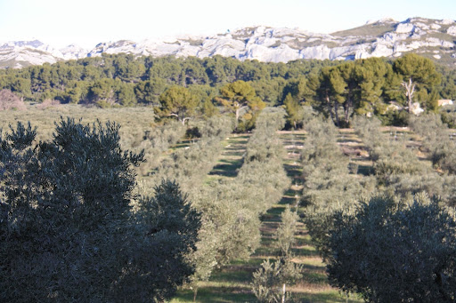 Boutique du Mas de La Tàpi