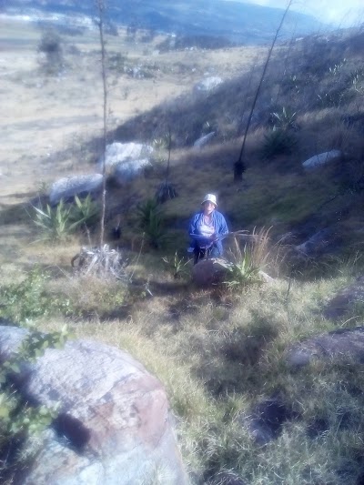 Photos of Montallantas Km1