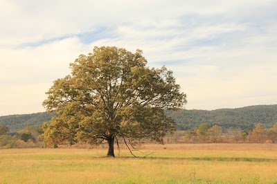 Photos of Cable Mill Visitors Center