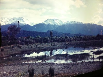 Photos of Cruise Te Anau