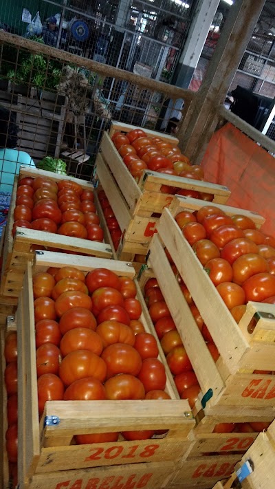 Photos of Mercado Central