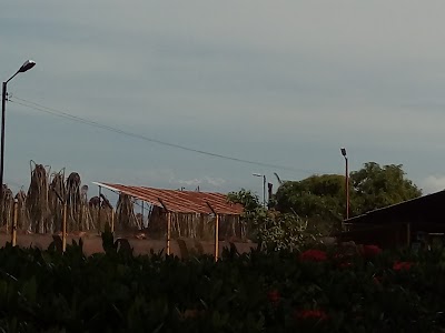 Photos of Palmeras De La Costa S.A