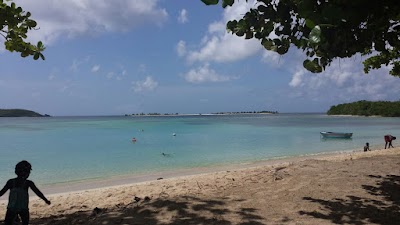 Photos of Deefer Diving Carriacou
