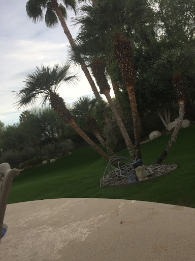 Desert Synagogue - Thumbnail