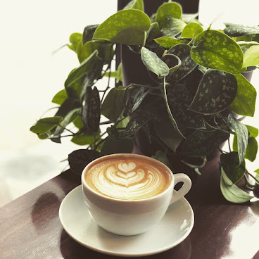 Coava Coffee Roasters by null