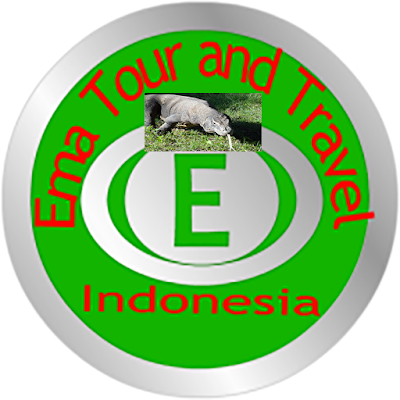 Photos of Bali Flores Komodo Tours