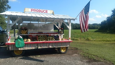 Tomahawk Farms Land Services: FERTILIZING, OVERSEEDING, Grading, mowing, bushhoging - Centreville, MD ,