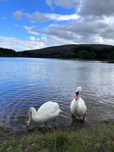 Harlaw Reservoir Car Park