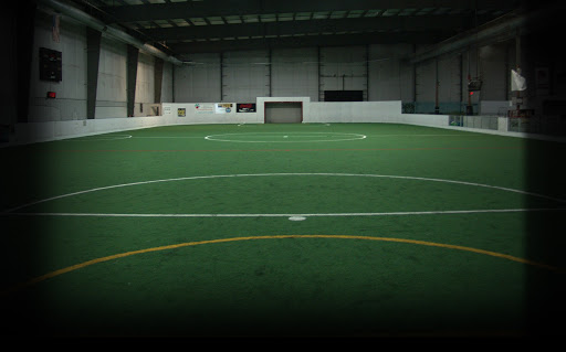 Silverbacks Indoor - Visual
