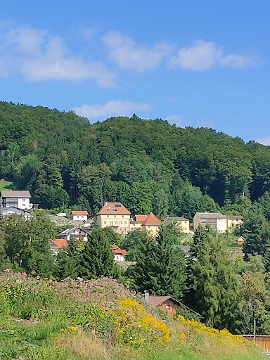 Cafe Daxstein - Visual