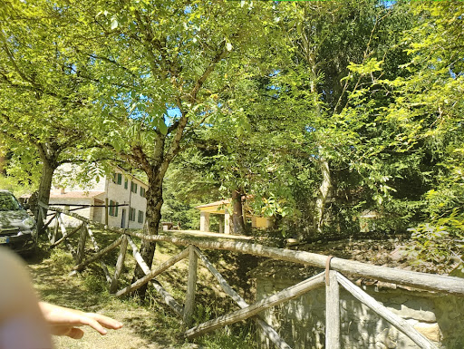 Foreste Casentinesi Vers Toscano