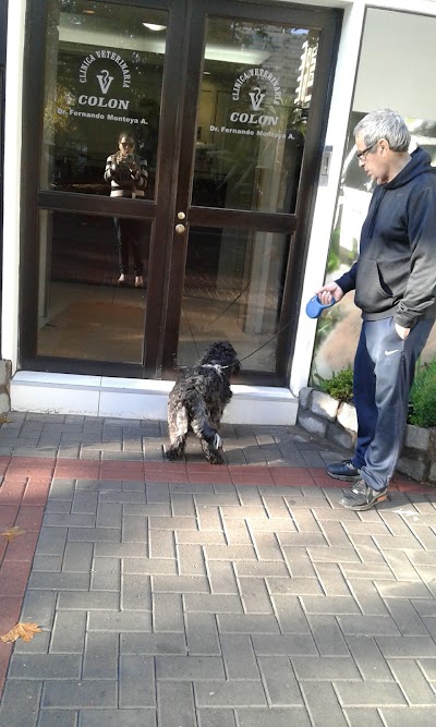 Photos of Col&oacute;n Veterinary Clinic