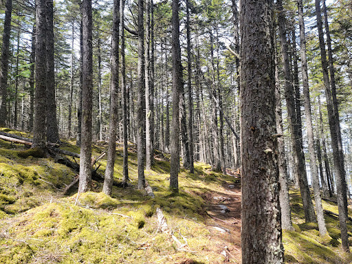 Clark Island Preserve - Thumbnail