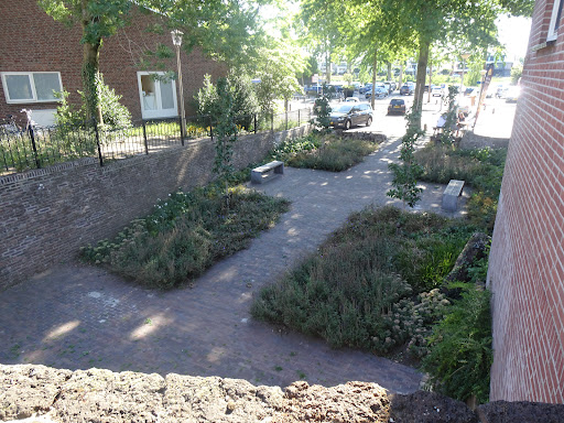 vrijheidsplantsoen Gallery - Netherlands