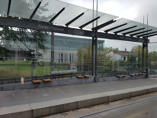 Europe - Université