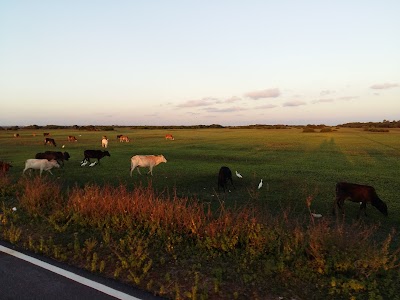 Photos of Mandaitivu